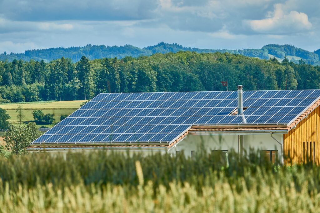 Solar Panels on the ground